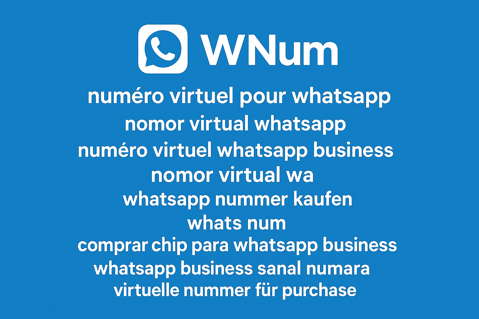 numéro virtuel pour whatsapp, whatsapp num activation - exemple interface wNum