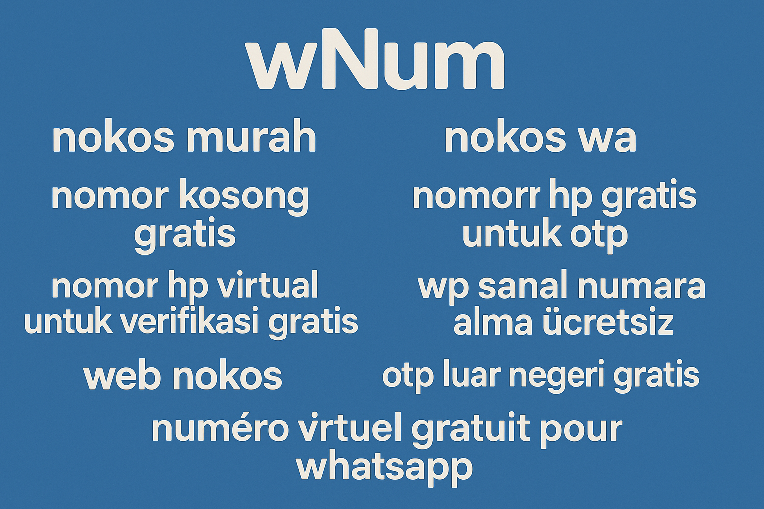 Dashboard web nokos wNum untuk mengelola nomor kosong gratis dan otp luar negeri gratis